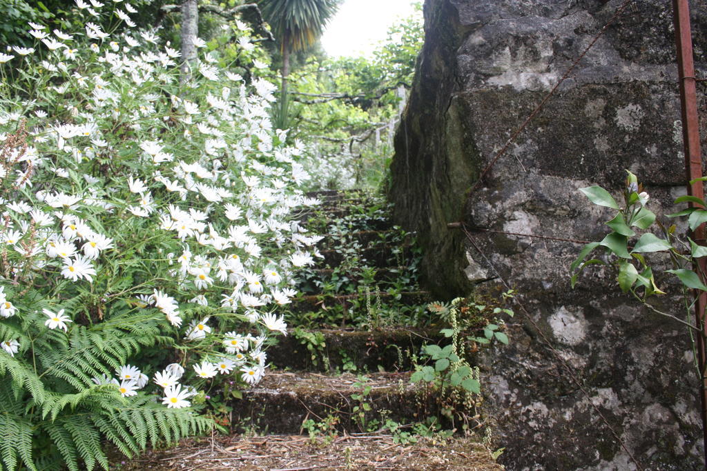 Quinta Das Leiras Santo Tirso Bagian luar foto