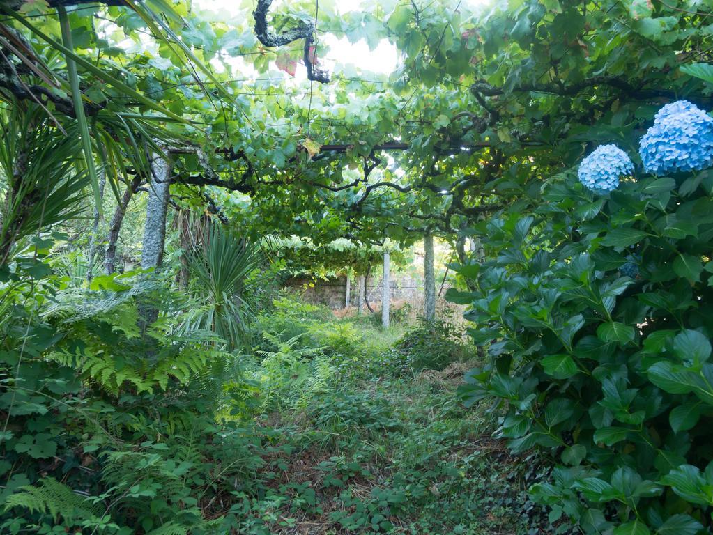 Quinta Das Leiras Santo Tirso Bagian luar foto