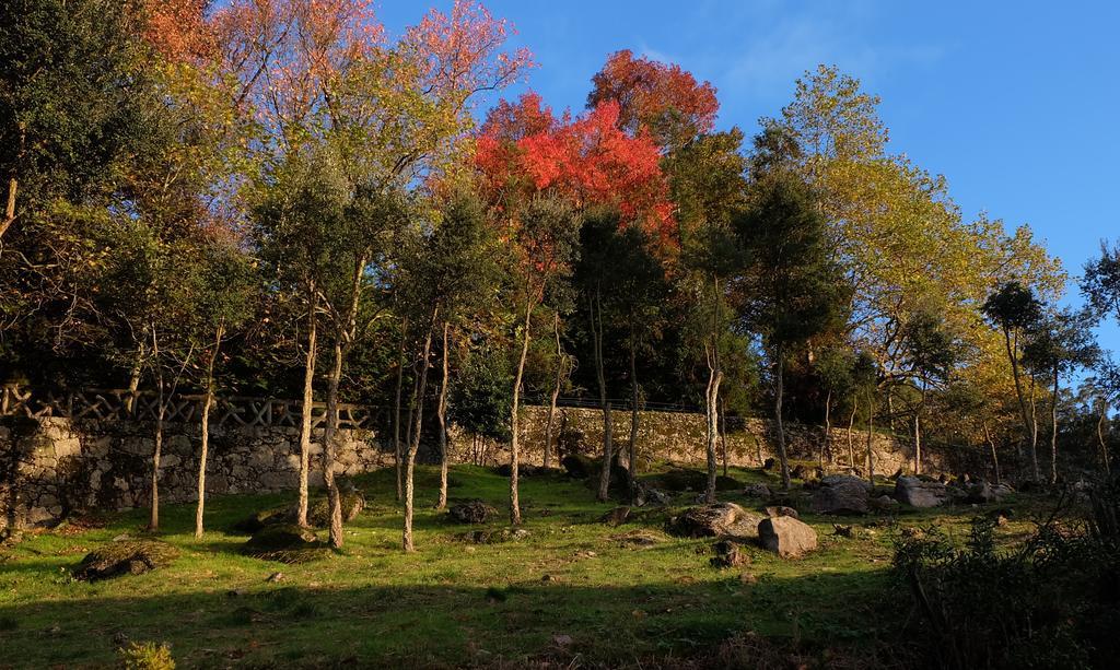 Quinta Das Leiras Santo Tirso Bagian luar foto