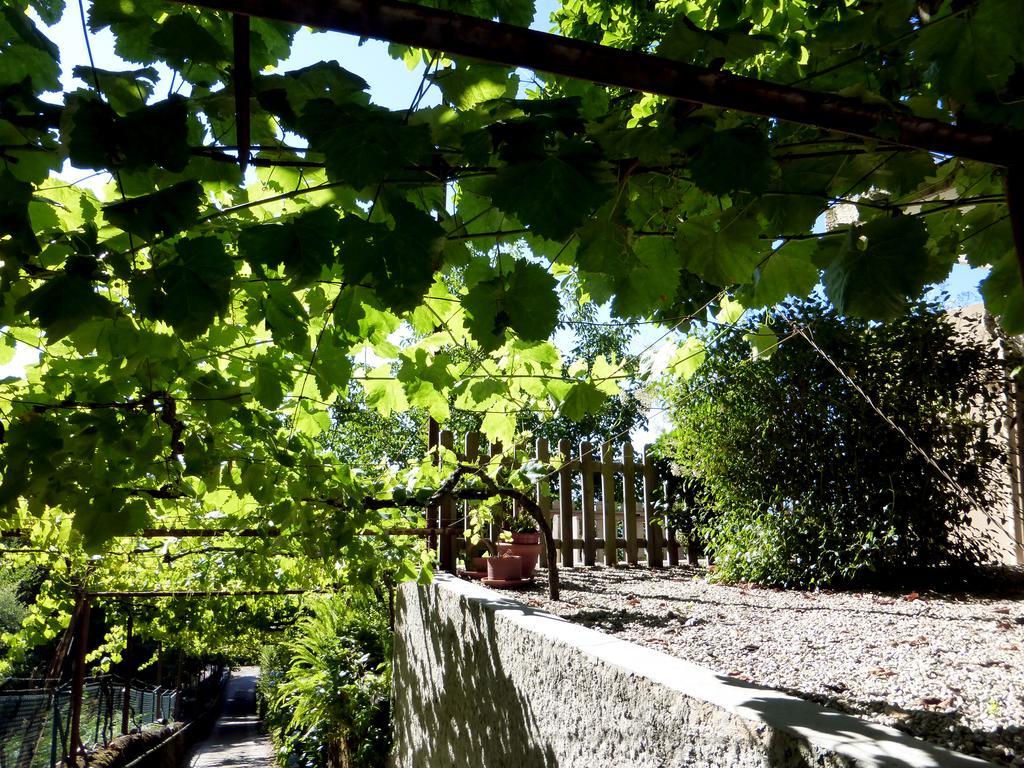 Quinta Das Leiras Santo Tirso Bagian luar foto