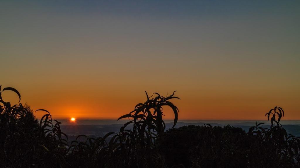 Quinta Das Leiras Santo Tirso Bagian luar foto